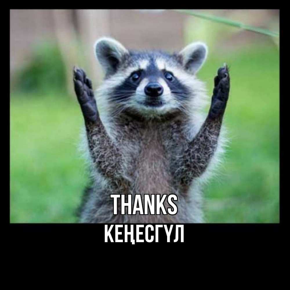 Greetings card с именем, КЕҢЕСГҮЛ Thanks милые животные Greetings with text for free download 