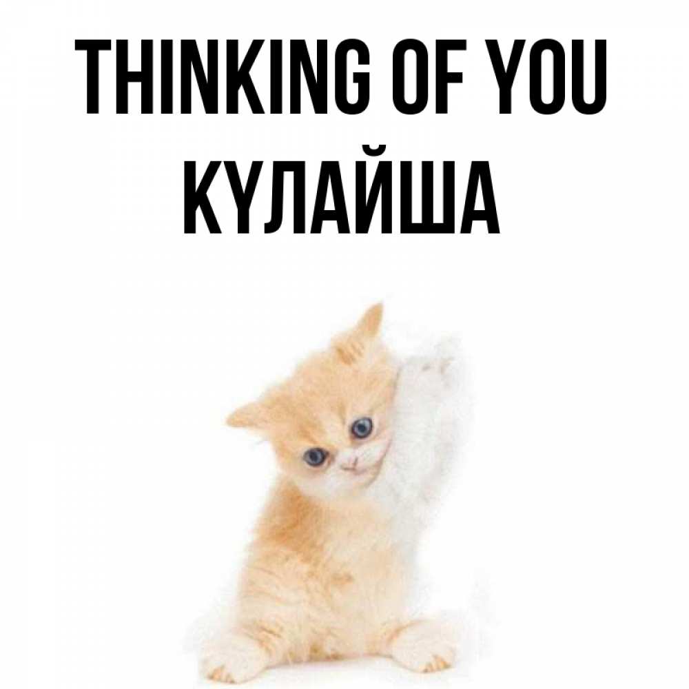 Greetings card с именем, КҮЛАЙША Thinking of you зверушки и милота Greetings with text for free download 