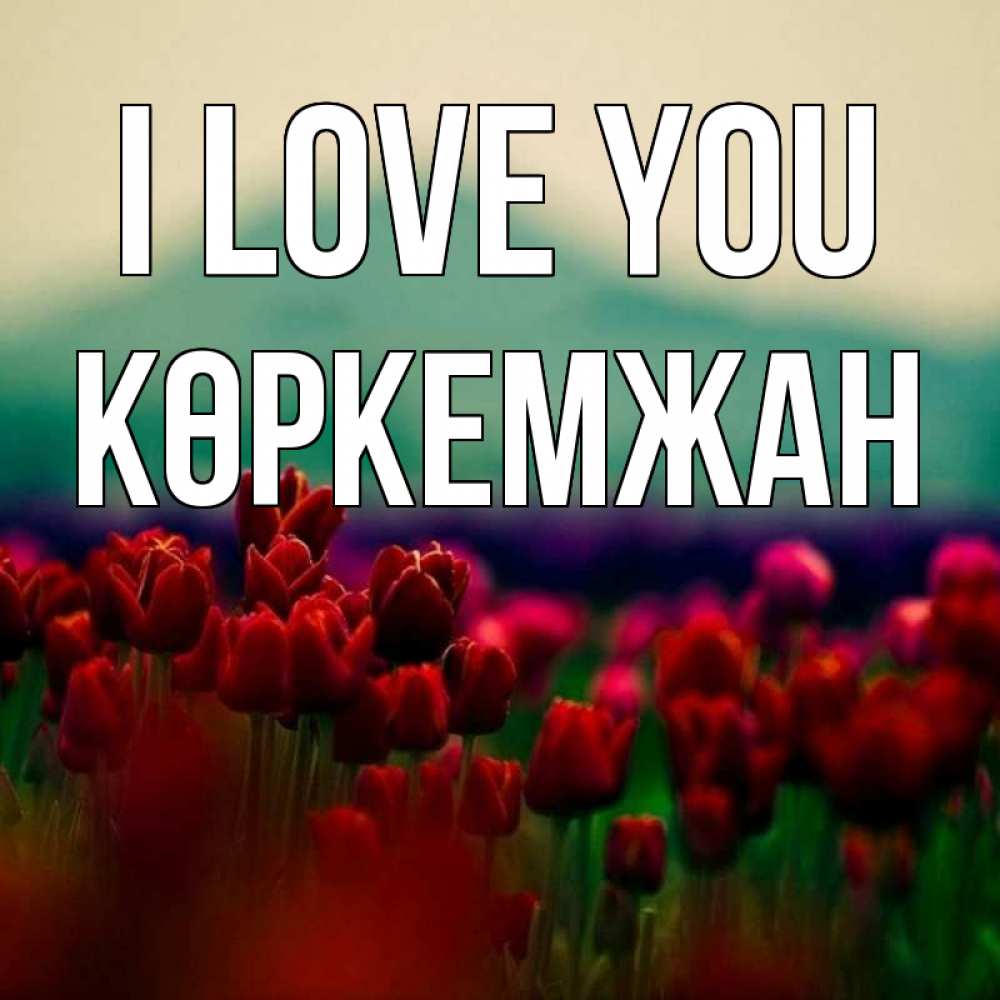 Greetings card с именем, Көркемжан I love you тюльпаны 4 Greetings with text for free download 