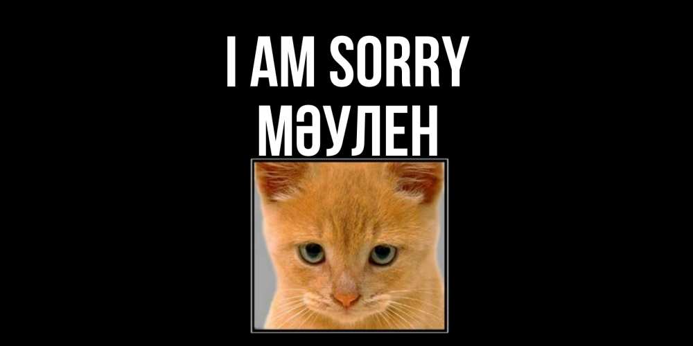 Greetings card с именем, МӘУЛЕН I am sorry рыжий грустный кот просит прощения Greetings with text for free download 