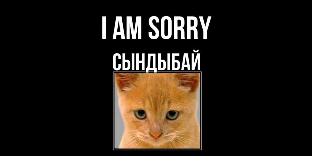 Greetings card с именем, СЫНДЫБАЙ I am sorry рыжий грустный кот просит прощения Greetings with text for free download 