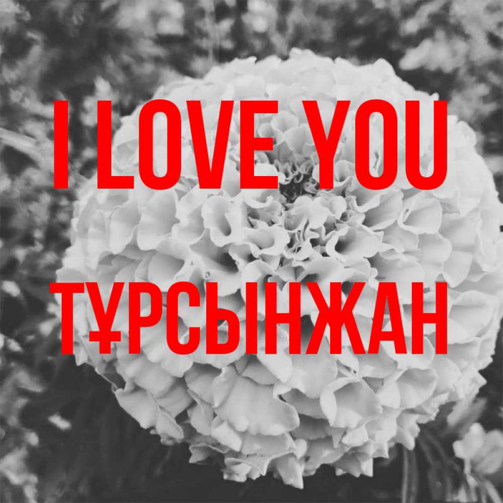 Greetings card с именем, ТҰРСЫНЖАН I love you подпись Greetings with text for free download 