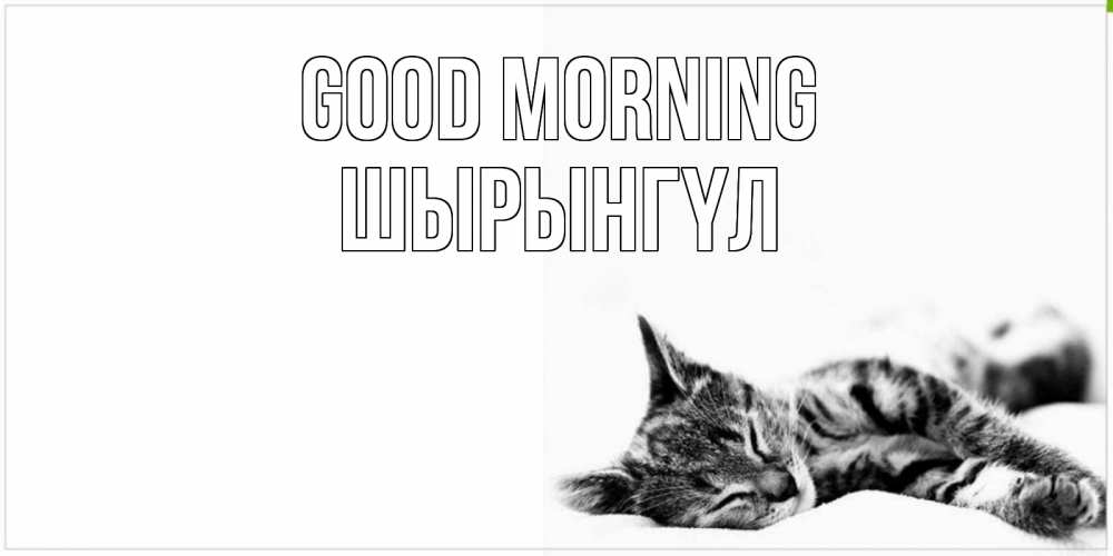 Greetings card с именем, ШЫРЫНГҮЛ Good morning котуся Greetings with text for free download 