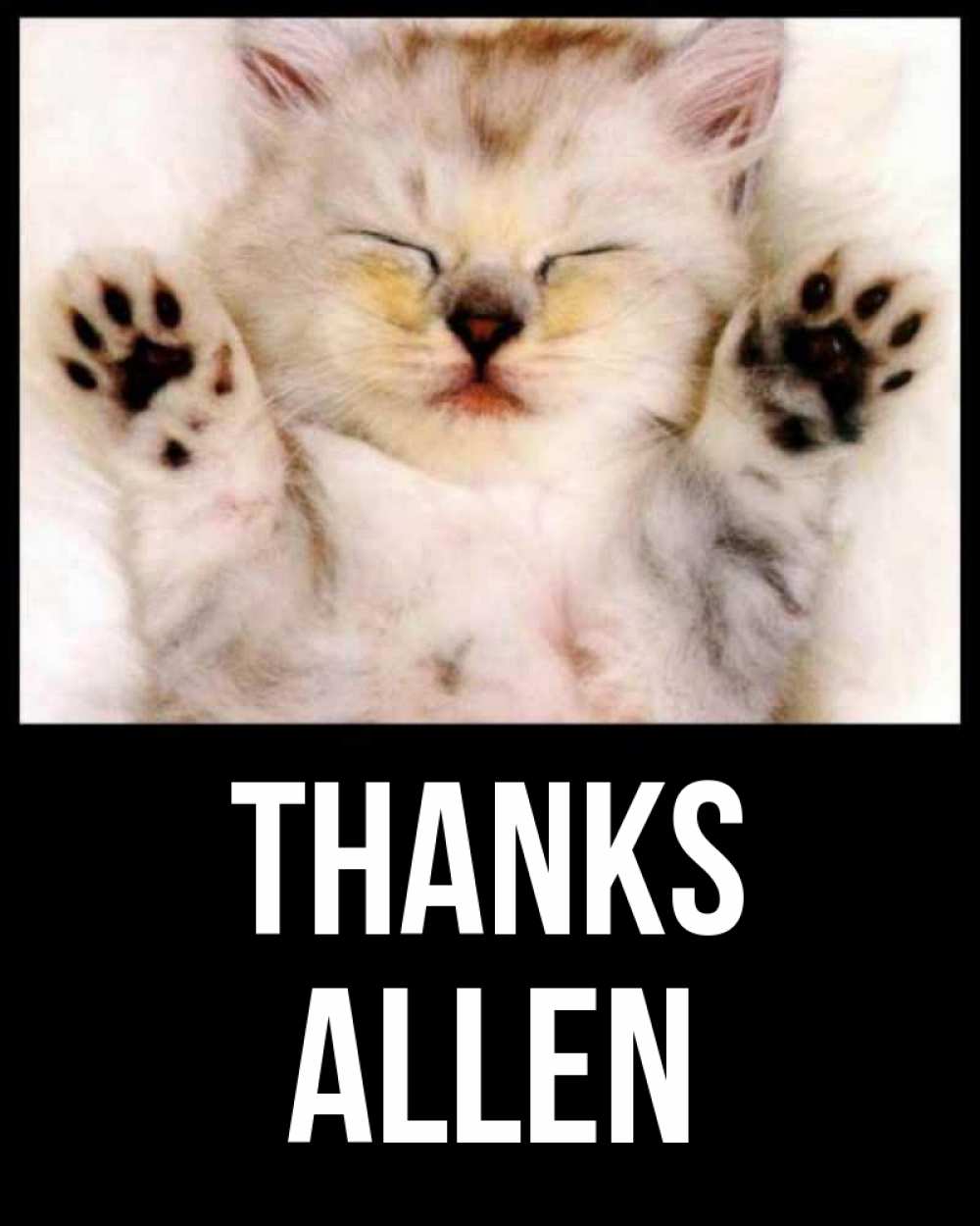 Greetings card с именем, Allen Thanks маленький котенок Greetings with text for free download 