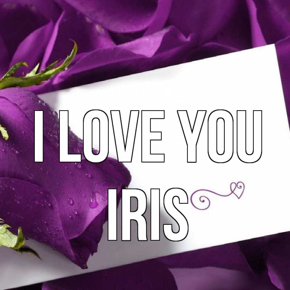 Greetings card с именем, Iris I love you роза Greetings with text for free download 