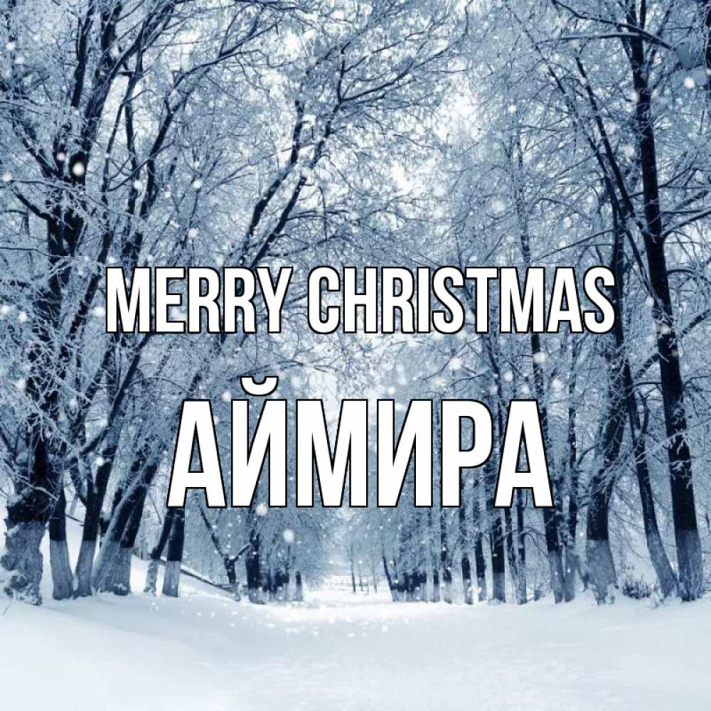 Greetings card с именем, АЙМИРА Merry Christmas снег, лес, парк Greetings with text for free download 