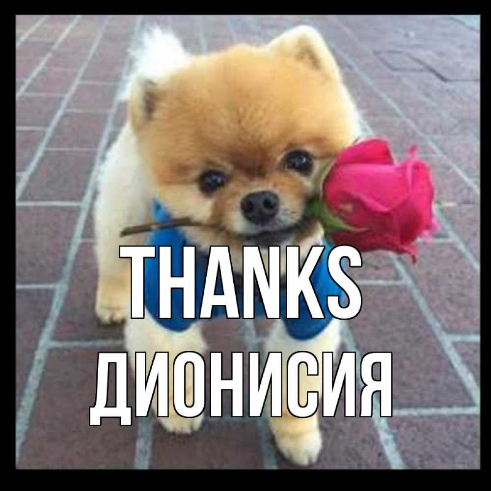 Greetings card с именем, Дионисия Thanks спасибо и дарю тебе цветок Greetings with text for free download 
