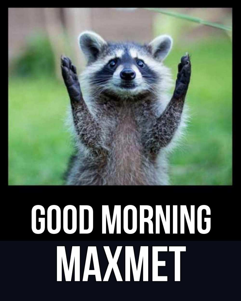 Greetings card с именем, МАХМЕТ Good morning хорошее настроение утречком Greetings with text for free download 