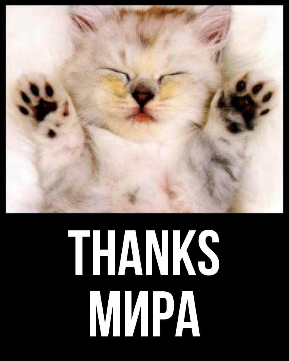Greetings card с именем, МИРА Thanks маленький котенок Greetings with text for free download 