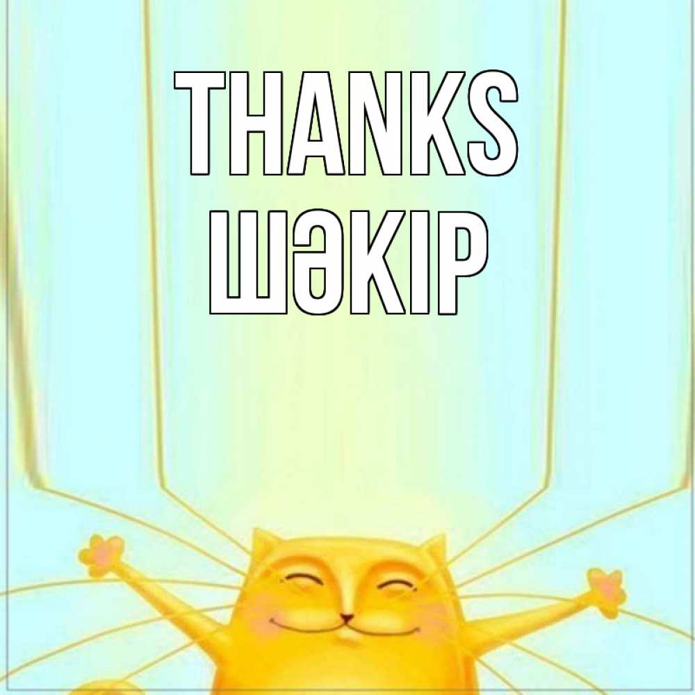 Greetings card с именем, ШӘКІР Thanks кот с усами благодарит Greetings with text for free download 