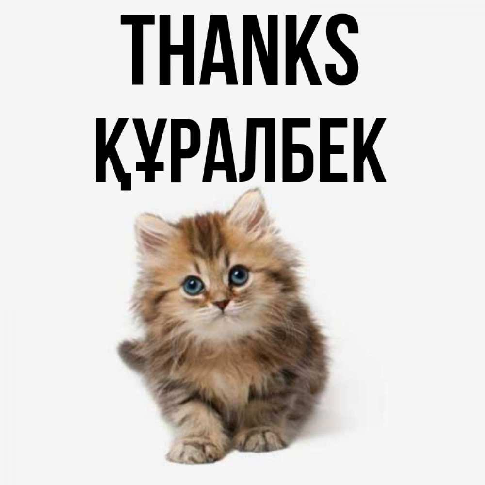 Greetings card с именем, ҚҰРАЛБЕК Thanks пушистый котик Greetings with text for free download 