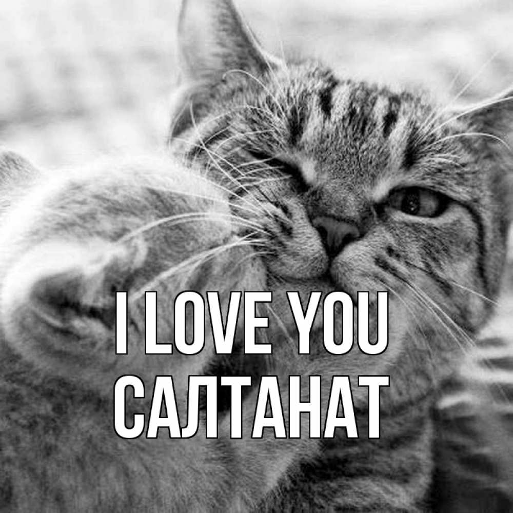 Greetings card с именем, САЛТАНАТ I love you коты Greetings with text for free download 