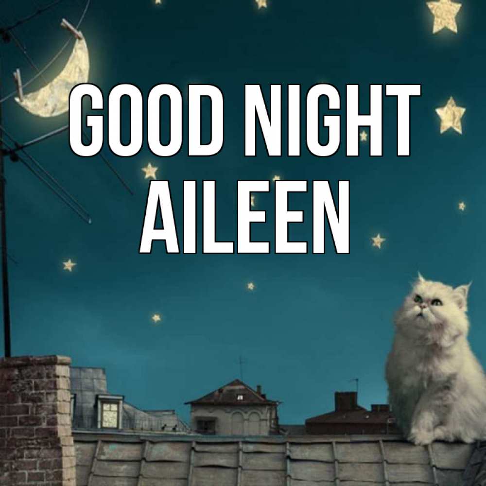 Greetings card с именем, Aileen Good night белый кот сидит на крыше Greetings with text for free download 