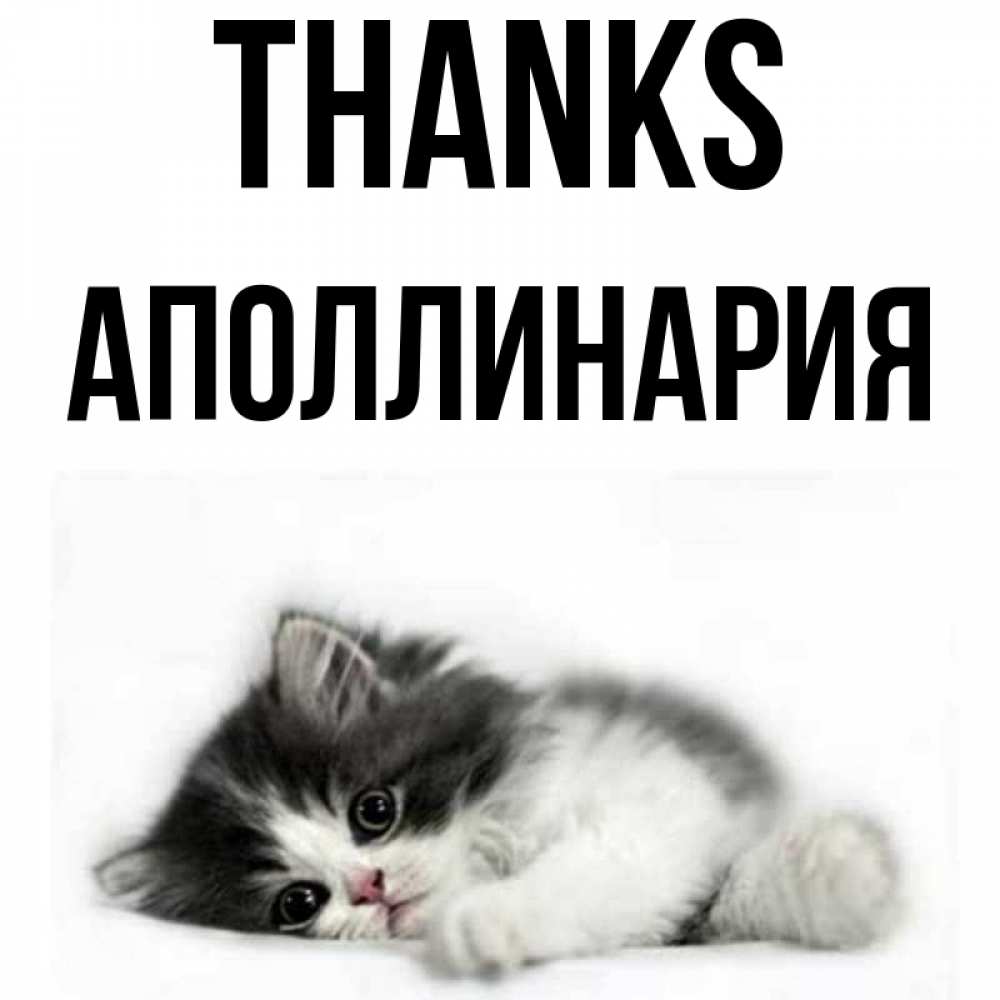 Greetings card с именем, Аполлинария Thanks черный и белый кот Greetings with text for free download 