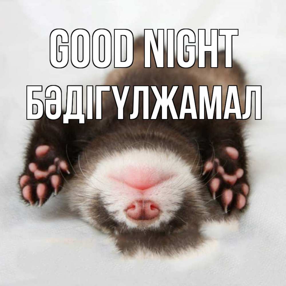 Greetings card с именем, БӘДІГҮЛЖАМАЛ Good night зверек Greetings with text for free download 