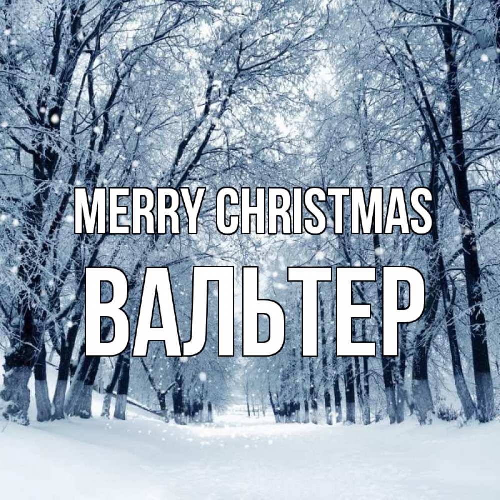Greetings card с именем, Вальтер Merry Christmas снег, лес, парк Greetings with text for free download 