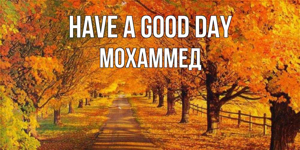 Greetings card с именем, Мохаммед Have a good day деревья с осенними листьями Greetings with text for free download 