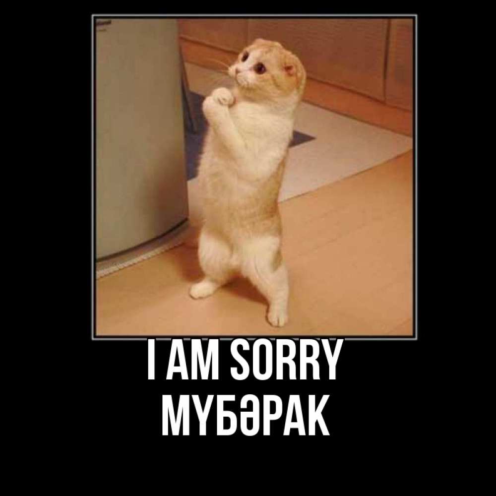 Greetings card с именем, МҮБӘРАК I am sorry открытка с милым несчастным котиком просящим прощения Greetings with text for free download 