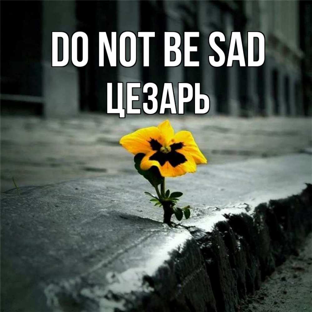 Greetings card с именем, Цезарь Do not be sad не сдавайся Greetings with text for free download 