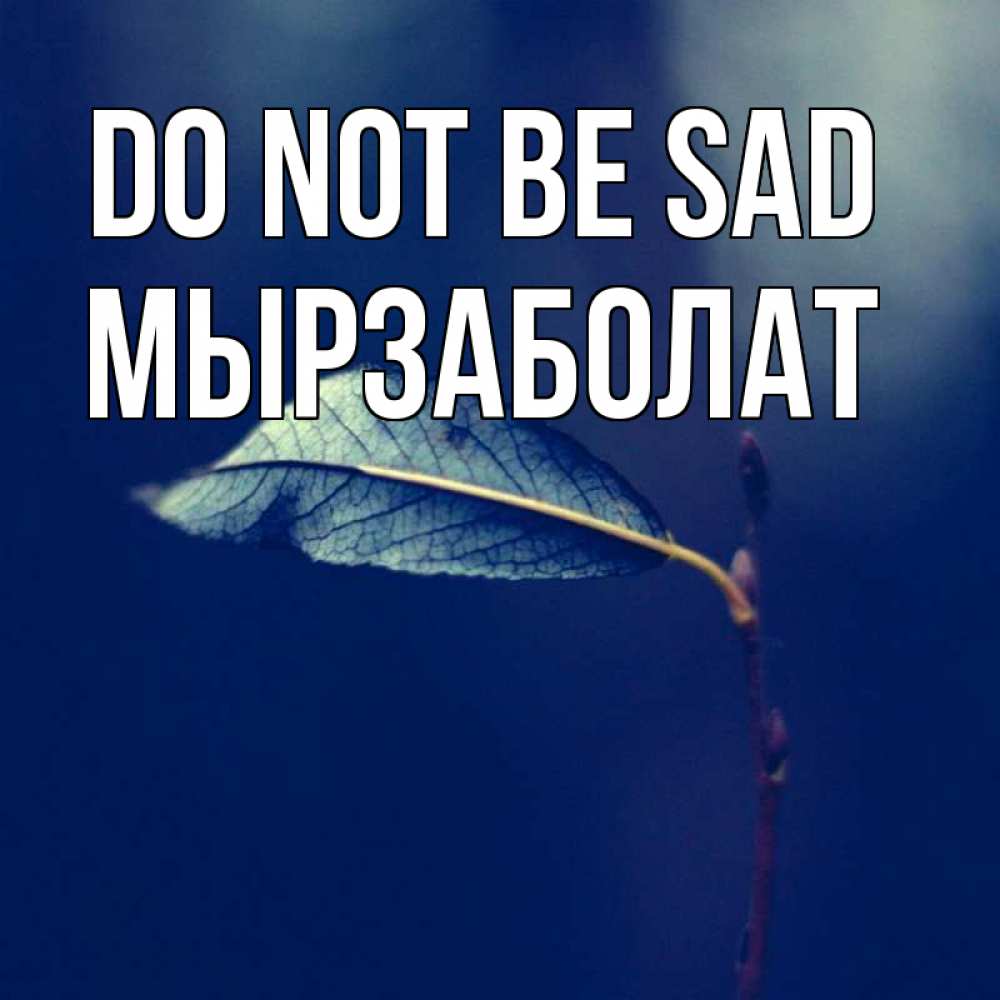 Greetings card с именем, Мырзаболат Do not be sad растение Greetings with text for free download 
