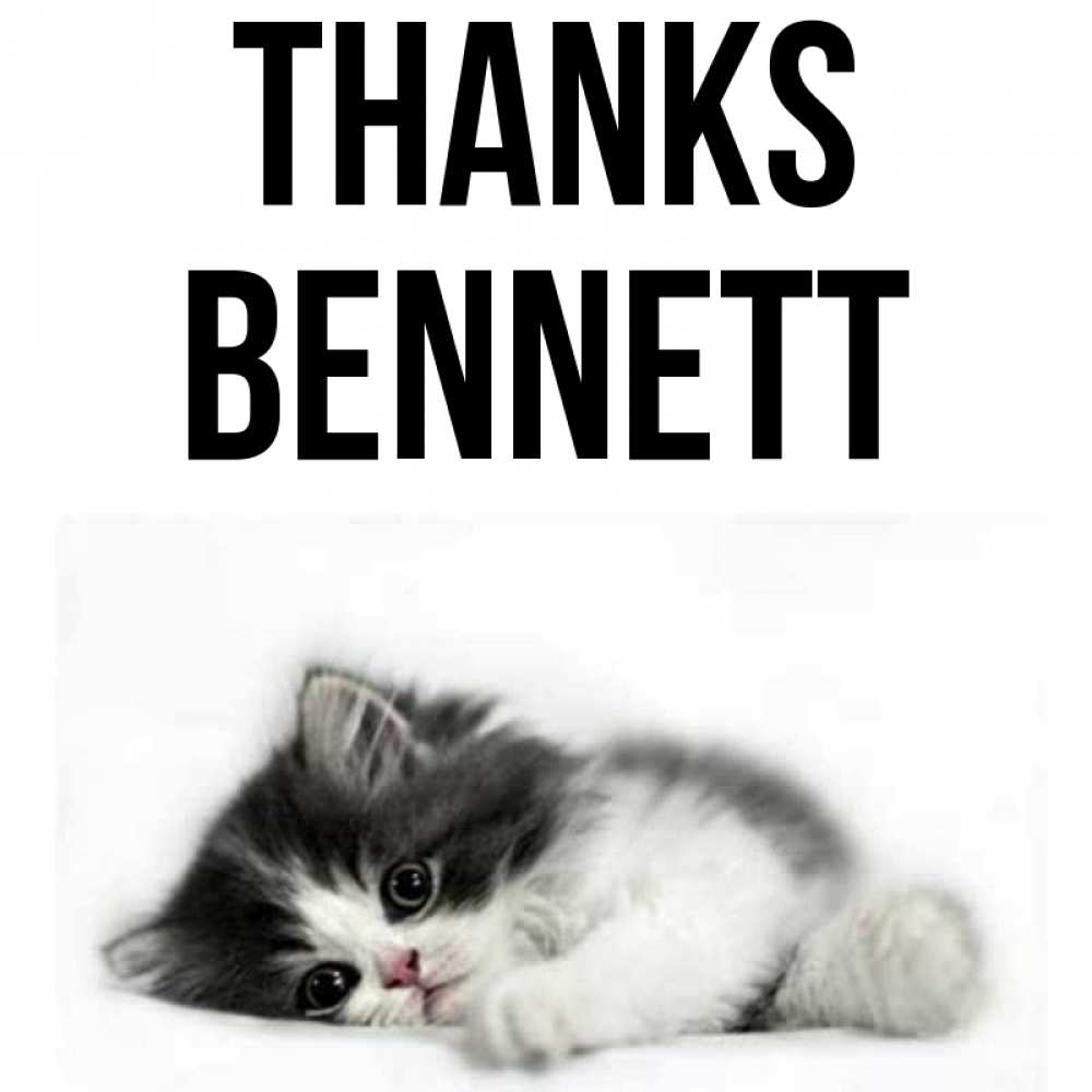 Greetings card с именем, Bennett Thanks черный и белый кот Greetings with text for free download 