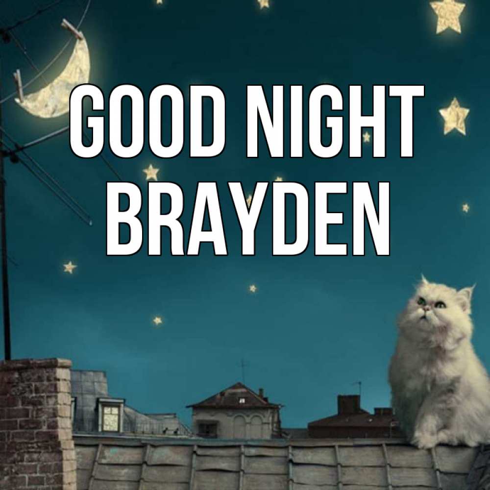Greetings card с именем, Brayden Good night белый кот сидит на крыше Greetings with text for free download 