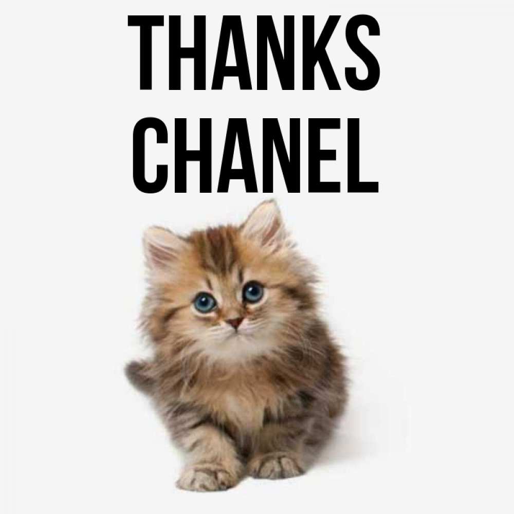 Greetings card с именем, Chanel Thanks пушистый котик Greetings with text for free download 