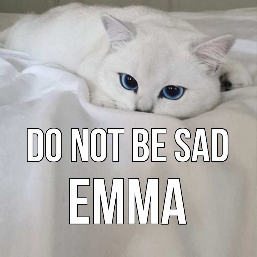 Greetings card с именем, Emma Do not be sad белый кот с голубыми глазами на белоснежной кровати Greetings with text for free download 