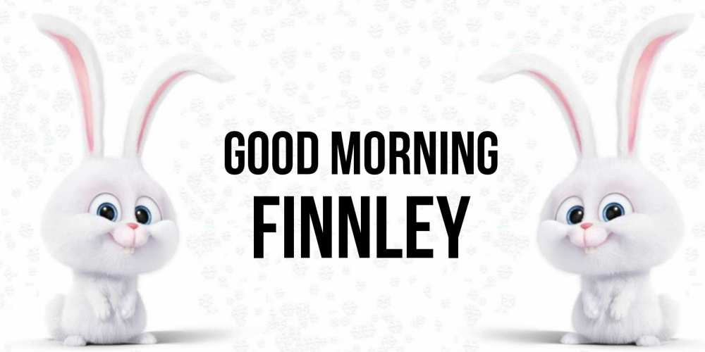 Greetings card с именем, Finnley Good morning кролики с длинными ушками Greetings with text for free download 