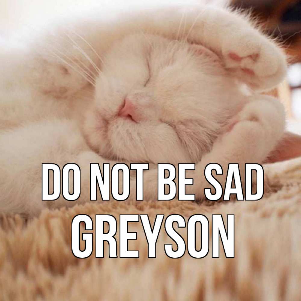 Greetings card с именем, Greyson Do not be sad белый кот Greetings with text for free download 