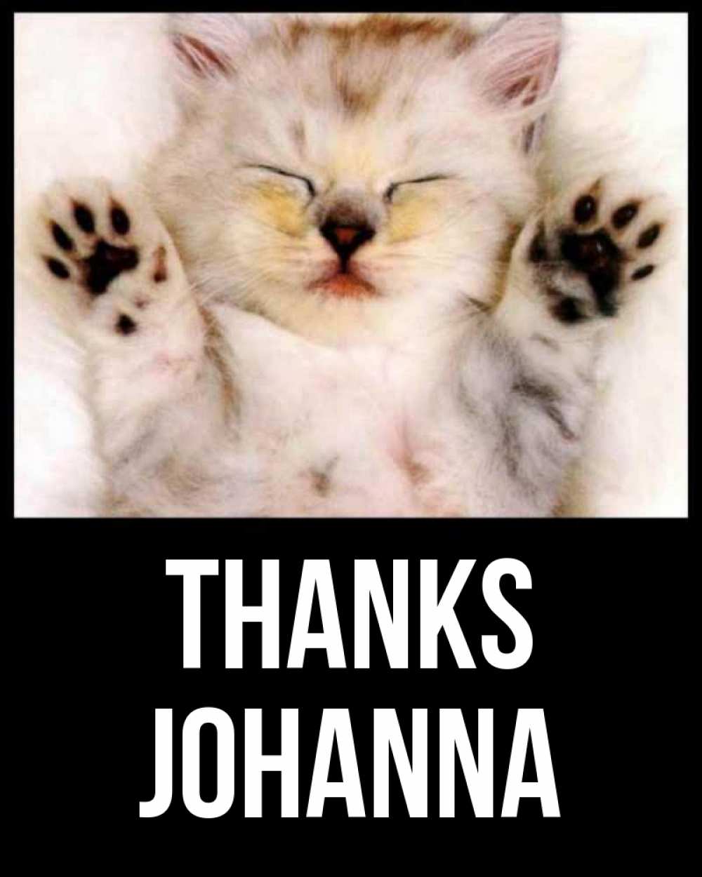 Greetings card с именем, Johanna Thanks маленький котенок Greetings with text for free download 