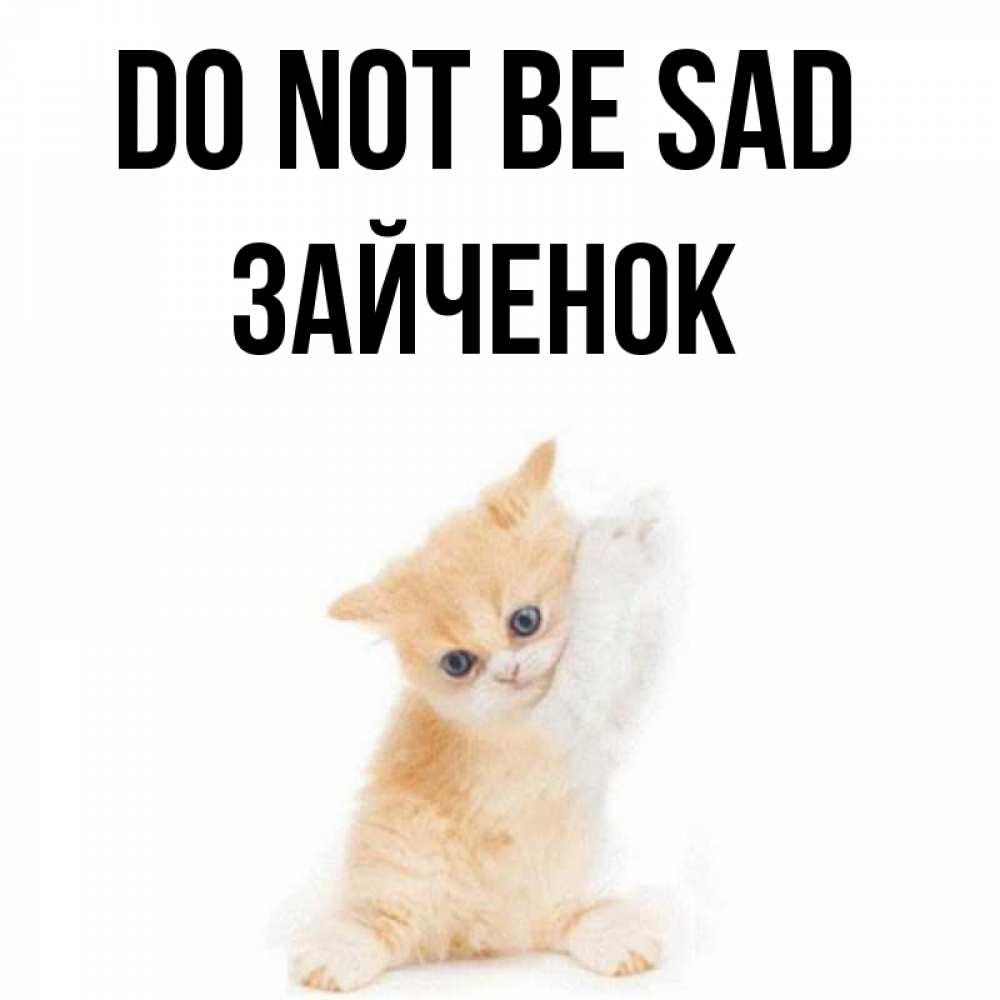 Greetings card с именем, Зайченок Do not be sad просящий кот Greetings with text for free download 