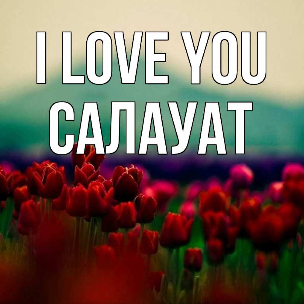 Greetings card с именем, САЛАУАТ I love you тюльпаны 4 Greetings with text for free download 