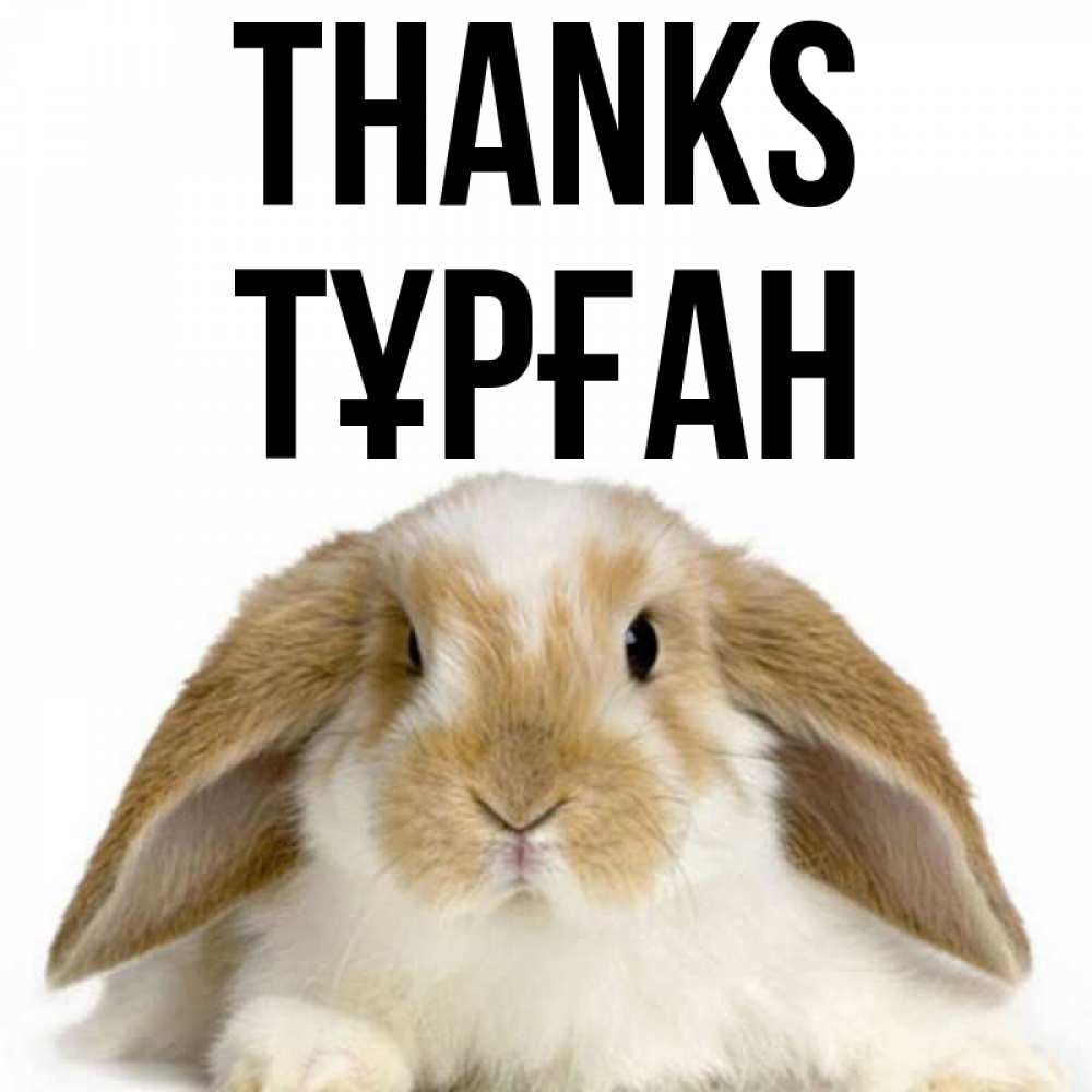 Greetings card с именем, ТҰРҒАН Thanks коричнево белый заяц Greetings with text for free download 