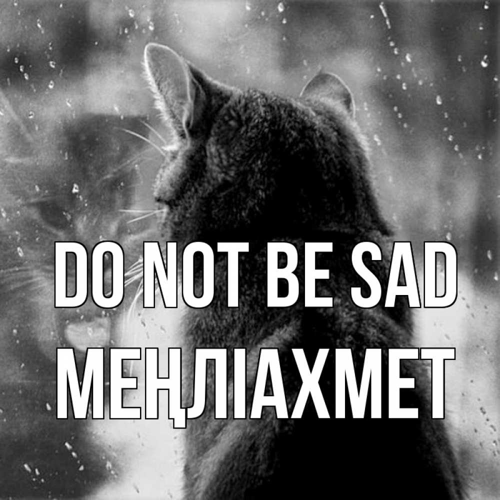 Greetings card с именем, МЕҢЛІАХМЕТ Do not be sad отражение кота 1 Greetings with text for free download 
