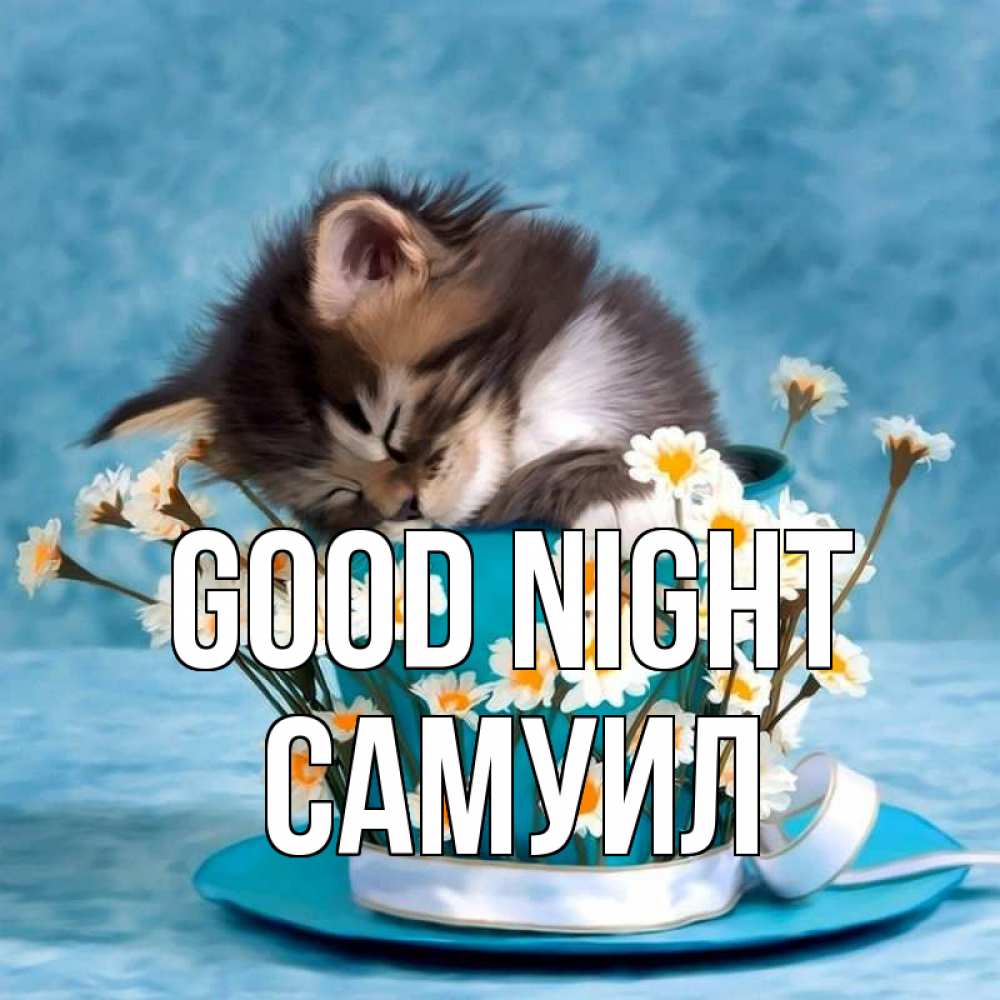 Greetings card с именем, Самуил Good night котенок спит в кружке с блюдцем Greetings with text for free download 