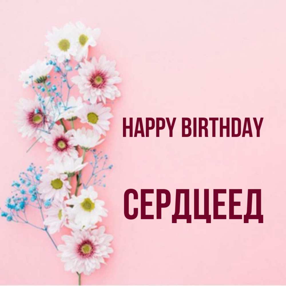 Greetings card с именем, Сердцеед Happy Birthday Родная моя с днем рождения тебя картинка с цветами белыми и голубыми Greetings with text for free download 