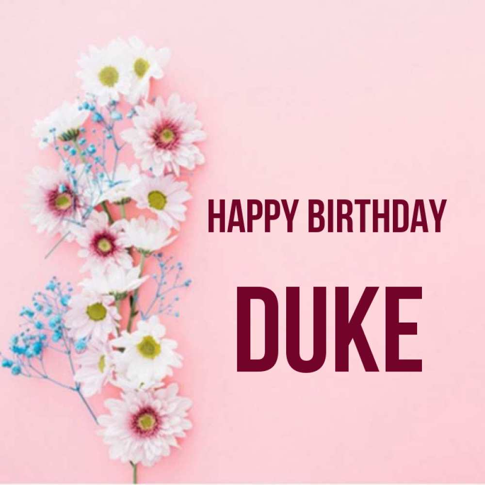 Greetings card с именем, Duke Happy Birthday Родная моя с днем рождения тебя картинка с цветами белыми и голубыми Greetings with text for free download 