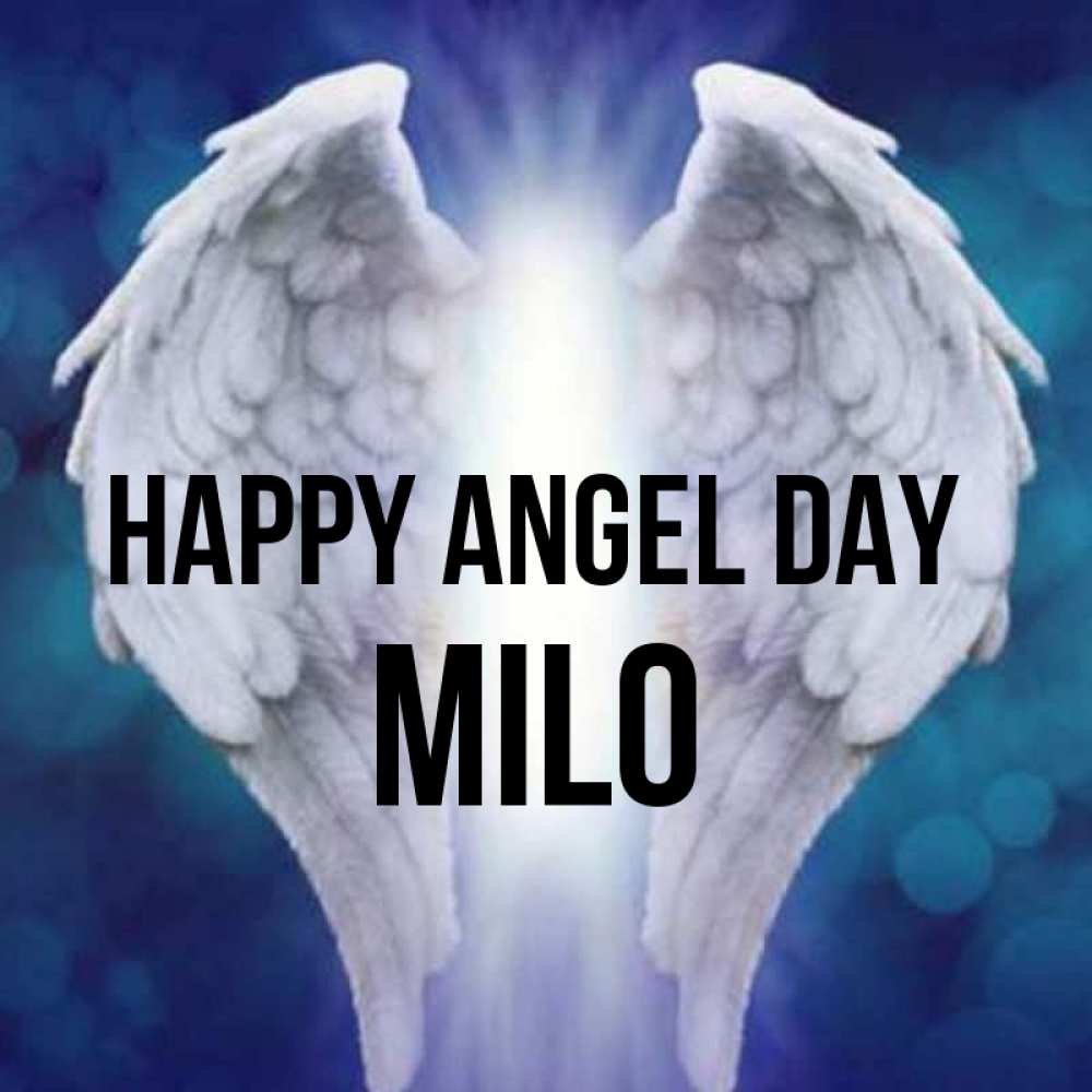 Greetings card с именем, Milo happy angel day синий фон и крылышки Greetings with text for free download 
