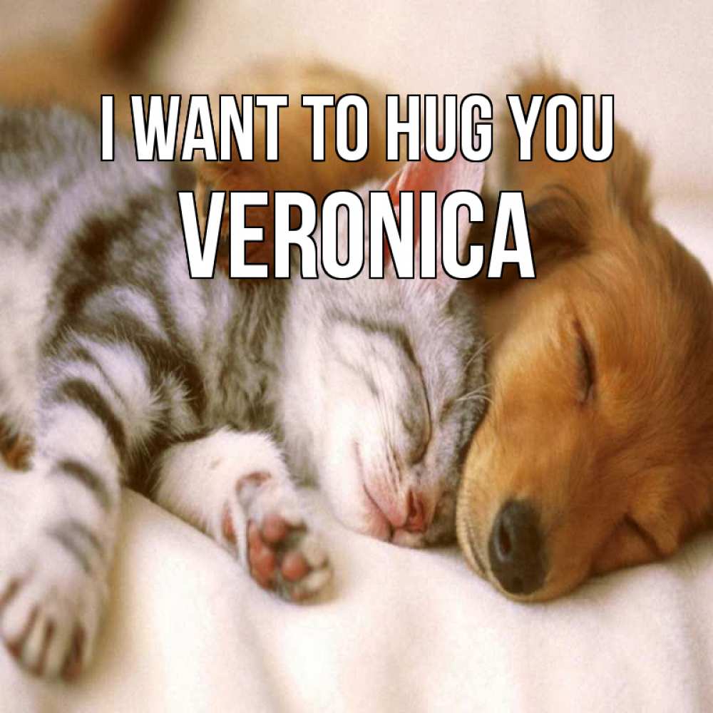 Greetings card с именем, Veronica I want to hug you пес и котенок Greetings with text for free download 