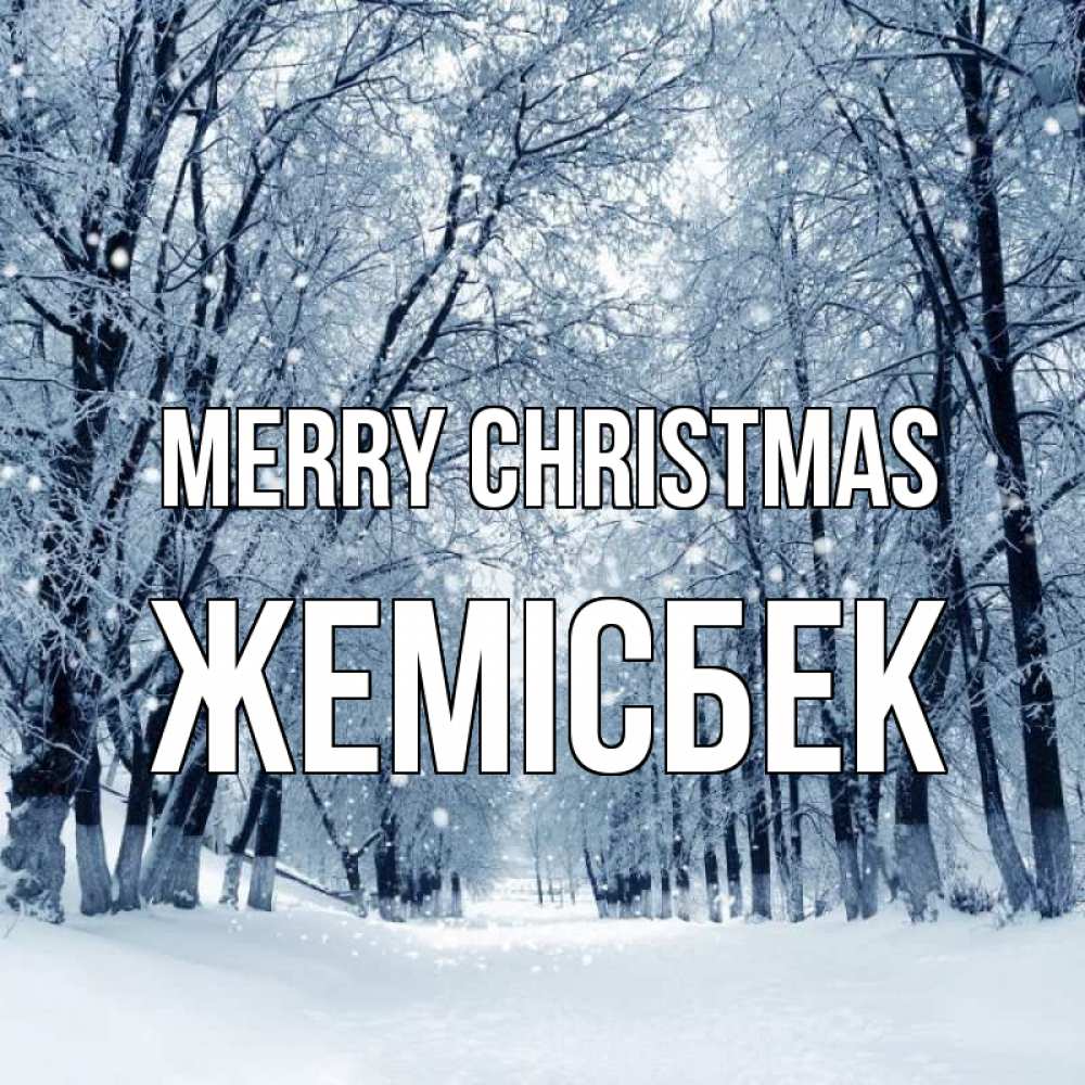 Greetings card с именем, Жемісбек Merry Christmas снег, лес, парк Greetings with text for free download 