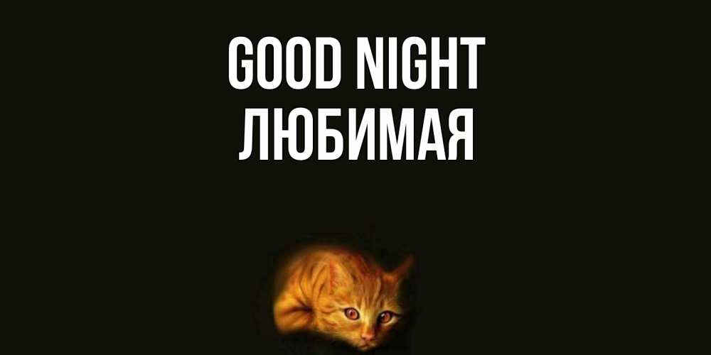 Greetings card с именем, Любимая Good night кот Greetings with text for free download 