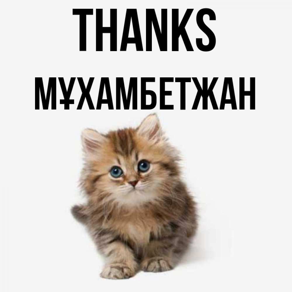 Greetings card с именем, МҰХАМБЕТЖАН Thanks пушистый котик Greetings with text for free download 