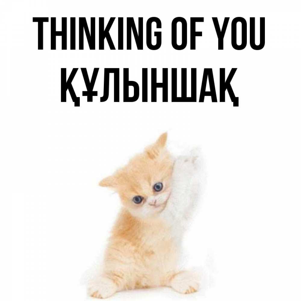 Greetings card с именем, ҚҰЛЫНШАҚ Thinking of you зверушки и милота Greetings with text for free download 