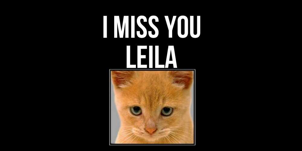 Greetings card с именем, Leila I miss you открытки рыжий котенок скучает по тебе Greetings with text for free download 