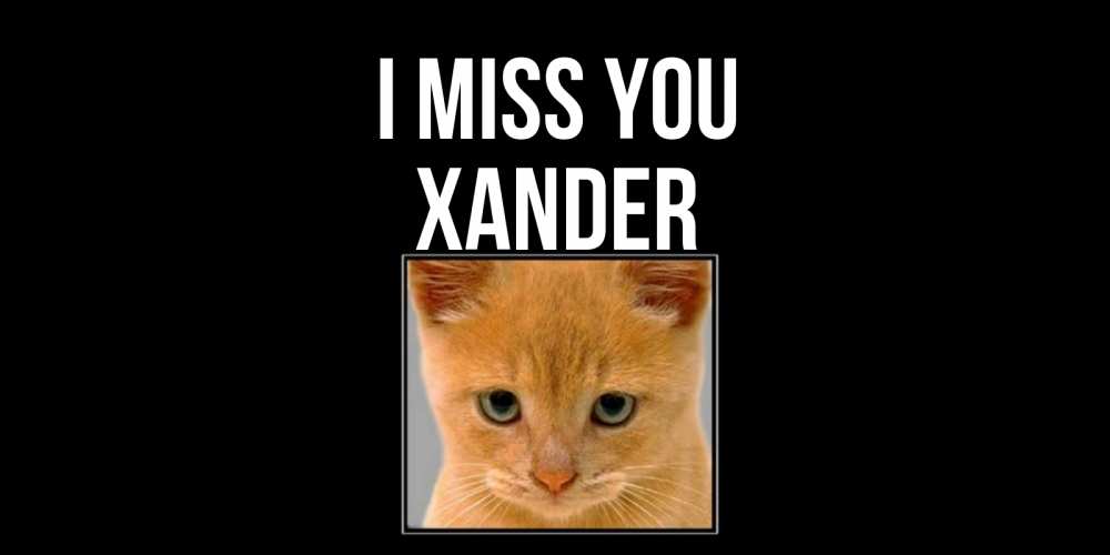 Greetings card с именем, Xander I miss you открытки рыжий котенок скучает по тебе Greetings with text for free download 