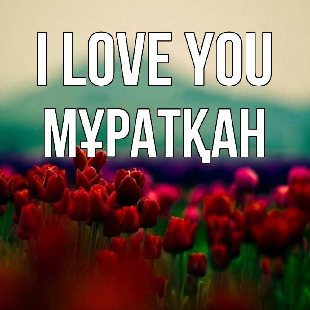 Greetings card с именем, Мұратқан I love you тюльпаны 4 Greetings with text for free download 