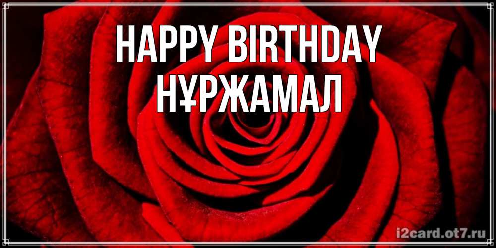 Greetings card с именем, НҰРЖАМАЛ Happy Birthday алая роза Greetings with text for free download 