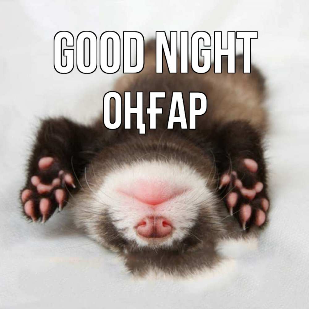 Greetings card с именем, ОҢҒАР Good night зверек Greetings with text for free download 