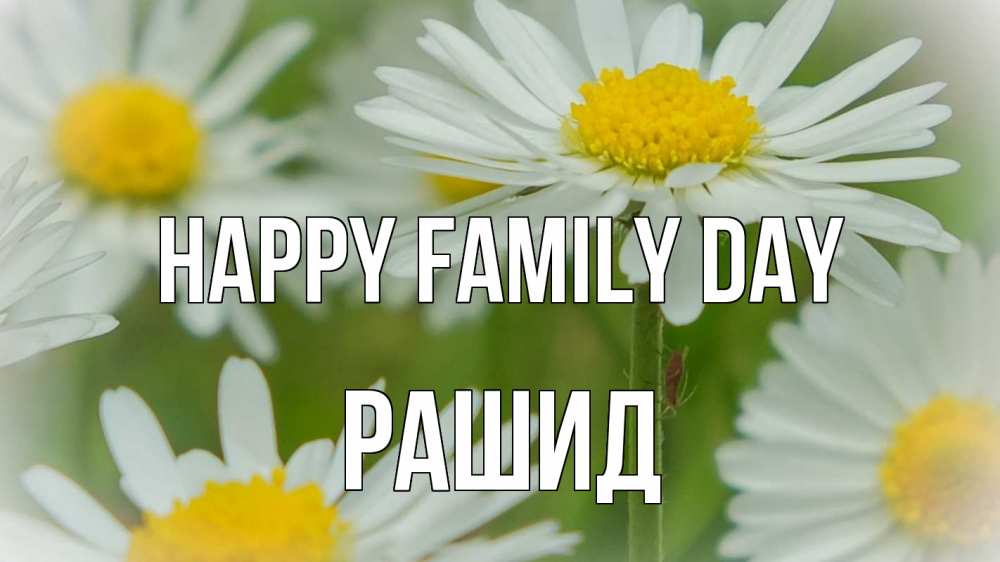 Greetings card с именем, Рашид happy family day с днем семьи  1 Greetings with text for free download 